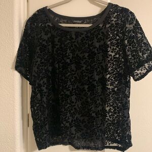 Sheer velvet floral cropped top